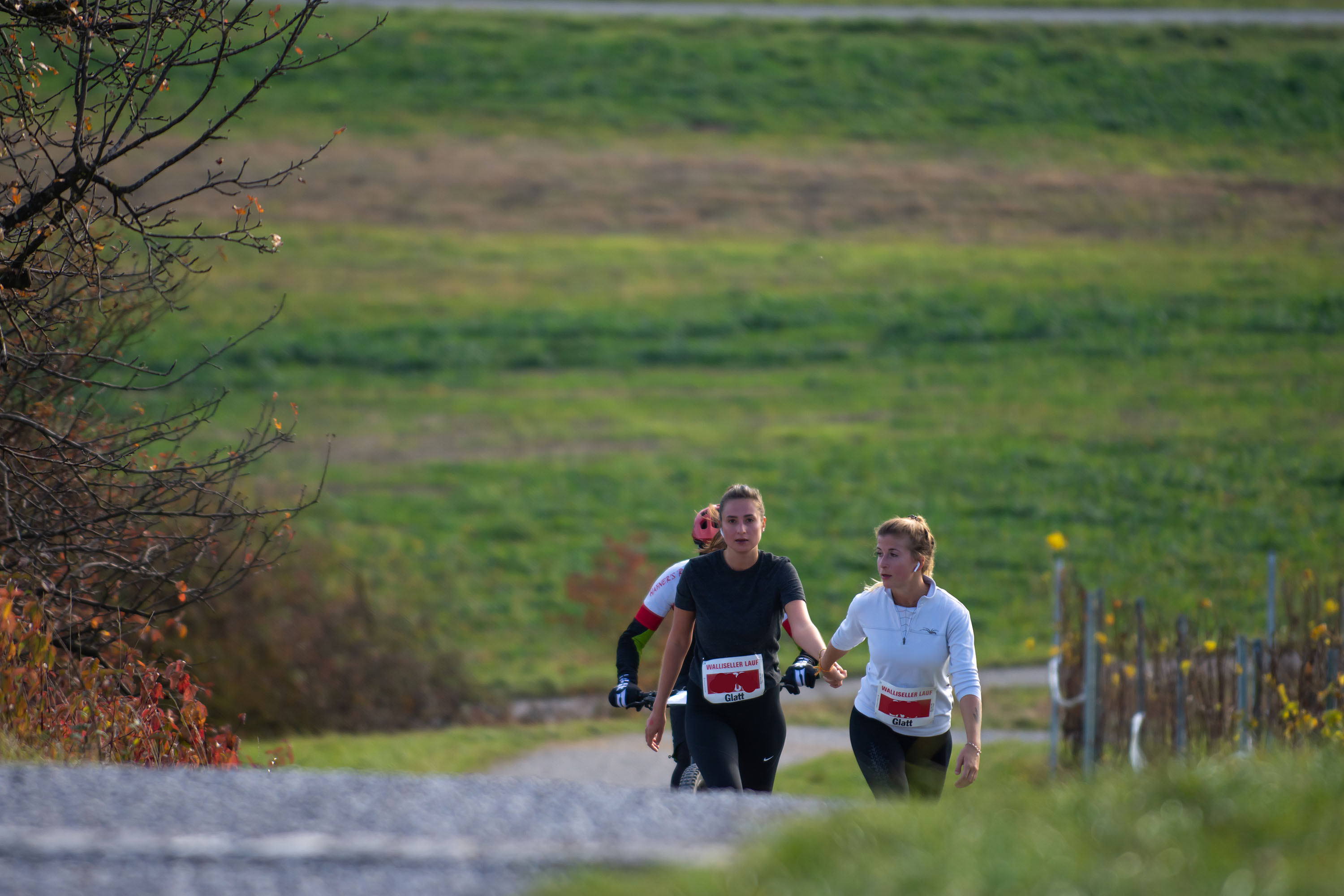 Walliseller Lauf Training